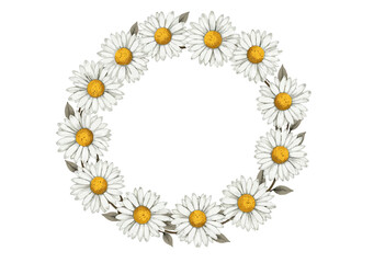Fototapeta premium Circle of daisies with yellow centers arranged on white background 