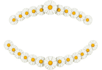 Fototapeta premium Floral wreath design with white daisies and yellow centers 