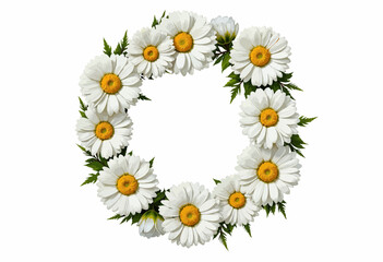 Obraz premium Floral wreath made of white daisies with green leaves 