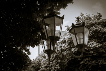 Elegant street lamps illuminate a serene park pathway surrounded by lush greenery during a tranquil...