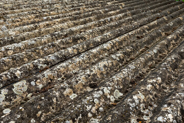 Weathered rooftop tiles create a textured landscape depicting nature's touch in an urban setting...