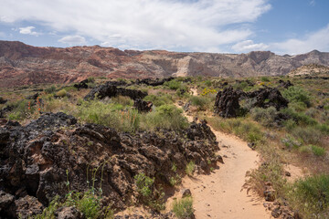 View of colorful rocks in Snow Canyon State Park, Lava Flow Trail, St. George, Utah, USA. 