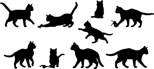 Set of vector cat silhouette. Kitten, kitty or pet animal in different poses and playing with toy or alone. animal pet, wildcat and kitten, hunter and predator, black silhouette illustration.