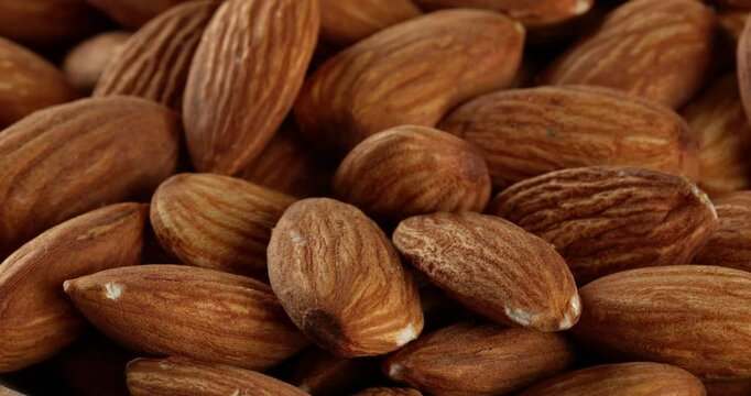 Almond nuts close-up footage on the rotating table.