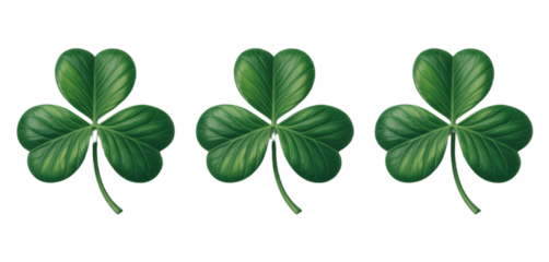 leaf clover flat icon set isolated on transparent background.