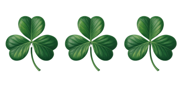 Good luck four leaf clover flat icon set isolated on transparent background.