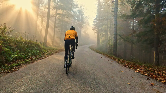 Person in a yellow shirt and helmet rides a bike down a foggy, tree-lined road, creating a serene and adventurous atmosphere. This is a long shot.