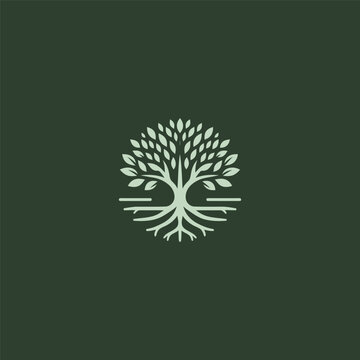 Mangrove tree logo in natural and minimalist design.