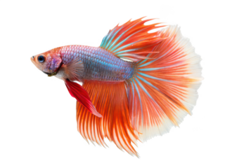 Sideboard png sideboard png furniture png storage furniture png cabinet furniture png living room furniture png wooden furniture png home furniture png transparent background image