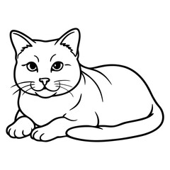 Obraz premium A cat lying down with its paws tucked under its body on a white background.
