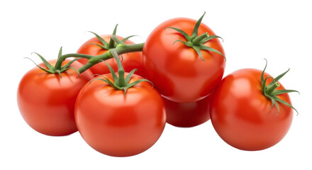 Juicy tomatoes on the vine ripe