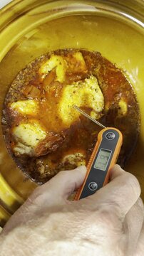 Vertical video social media - Closeup of a hand sticking the spike of a digital thermometer into a piece of chicken, which is cooking in a casserole pot, to check the temperature on the display.