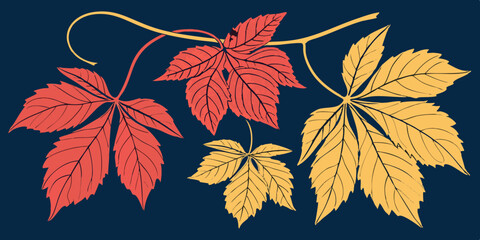   Set of different color's autumn vine  leaves isolated on navy blue background vector illustration
