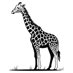 Fototapeta premium giraffe vector illustration