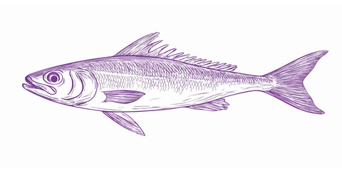 Obraz premium Detailed line drawing of a fish (4)