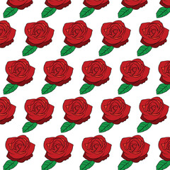 rose with green leaf pattern on white isolated background