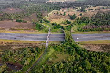 Forest aerial wildlife crossing forming a safe natural corridor bridge for animals to migrate between conservancy areas. Environment nature reserve infrastructure engineering eco passage from above