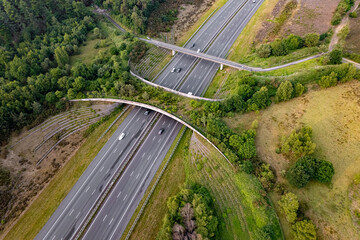 Forest aerial wildlife crossing forming a safe natural corridor bridge for animals to migrate...