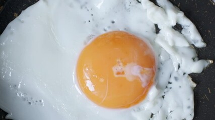 fried egg in a frying pan - Powered by Adobe