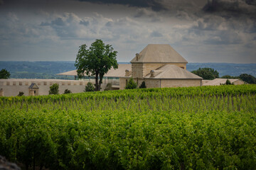 Springtime reveals lush vines at Chateau Belair-Monnange in Saint-Emilion. Dark clouds loom over the Bordeaux vineyard, enhancing its serene beauty and rich landscape.