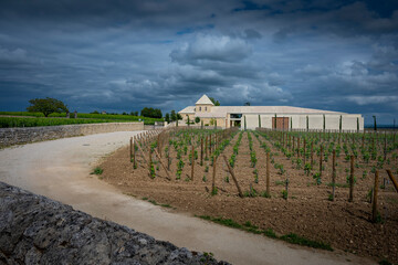 Springtime reveals lush vines at Chateau Belair-Monnange in Saint-Emilion. Dark clouds loom over the Bordeaux vineyard, enhancing its serene beauty and rich landscape.