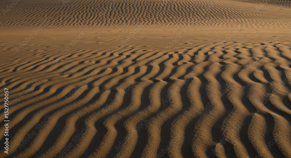 Poster a close-up of wind-swept ripples and patterns in the sand of a desert dune. an abstract nature textu