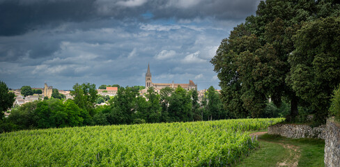Lush green vines stretch across the vineyard in Saint-Emilion, with a distant church steeple peeking through the trees under an overcast sky, creating a serene landscape.