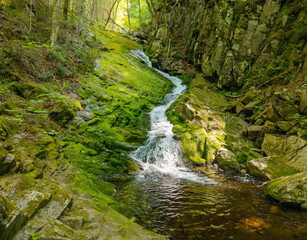 waterfall in the forest