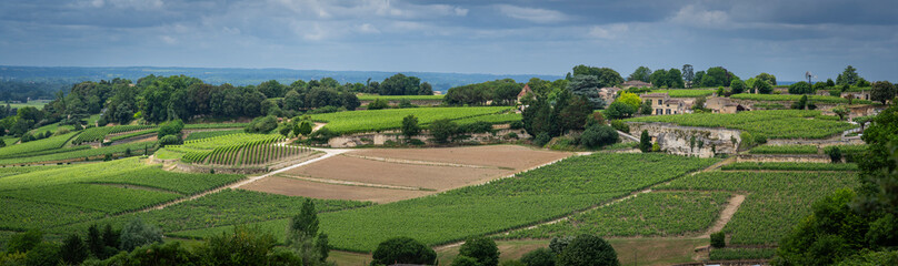 Lush vineyards stretch across rolling hills of the Saint-Emilion area in Bordeaux, showcasing the rich agricultural landscape under overcast skies.