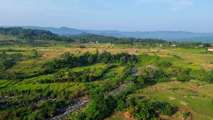 Fototapeta premium Aerial View of Lush Green Rice Fields and River in Rural Tropical Landscape. Ideal for themes of agriculture, eco-tourism, tropical nature, and sustainable farming in Southeast Asia.