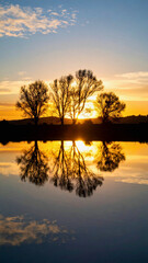 Fototapeta premium Sunrise over Still Lake with Perfect Tree Reflection. A serene landscape evoking peace, beauty, and tranquility.