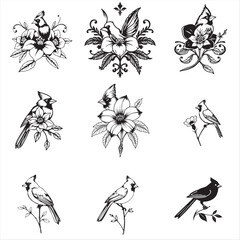 set of black silhouettes of cardinal flower