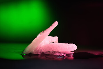 Ice melting. Pieces of melting ice on a dark background. Colored green purple backlight