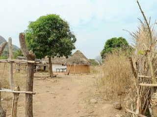  traditional African vintage street with thatched huts and trees under daylight 