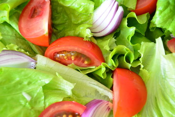 Fresh Salad with Lettuce, Tomatoes and Red Onion macro