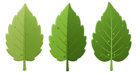 Isolated three green leaves with dots