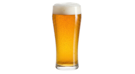 Isolated Beer Glass