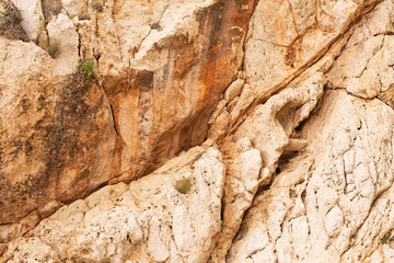 Rough rock face with small plants. Mountain natural background.