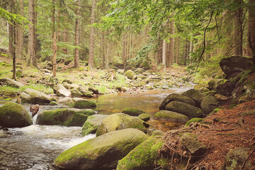 Górski strumień