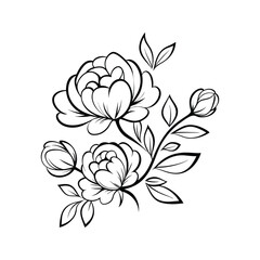 Elegant black and white floral illustration depicting delicate peonies and budding blossoms