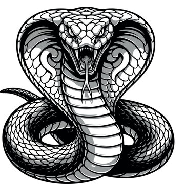 Striking Cobra Illustration - Black And White Venomous Snake Vector Art for Designs