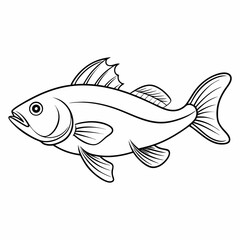 vector illustration of a fish