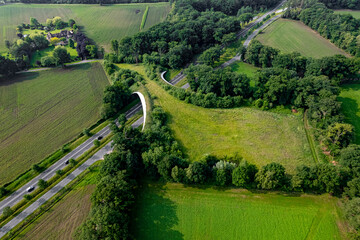 Dutch landscape with road traversed by wildlife crossing forming a safe natural corridor bridge for...