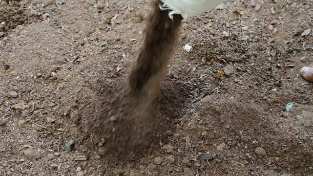 vermi compost mixing with garden soil for garden farming at outdoor