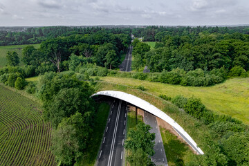 Ecoduct road traversed by wildlife crossing forming a safe natural corridor bridge for animals to migrate between conservancy areas. Environment nature reserve infrastructure eco passage.