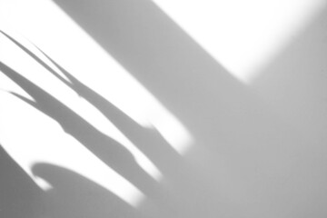 shadow overlay effects of realistic window and tree branch shadow with light blur on transparent backgr,Summer sunlight dappled shadow overlay effect, for photo interior backdrop studio mockup design