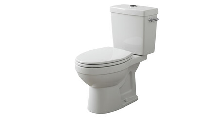 Isolated Toilet Bowl