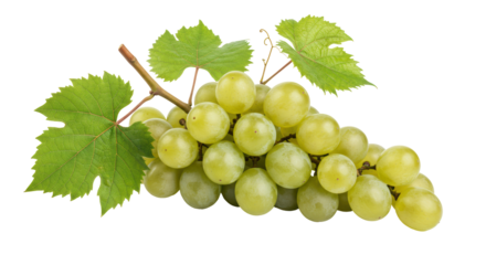 Isolated Green grapes on white background