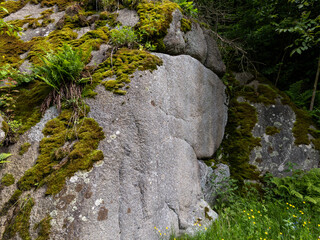 A large rock covered in green moss in the woods