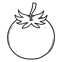 Hand drawn doodle tomato on white background.